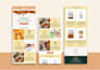 design responsive mailchimp email template newsletter